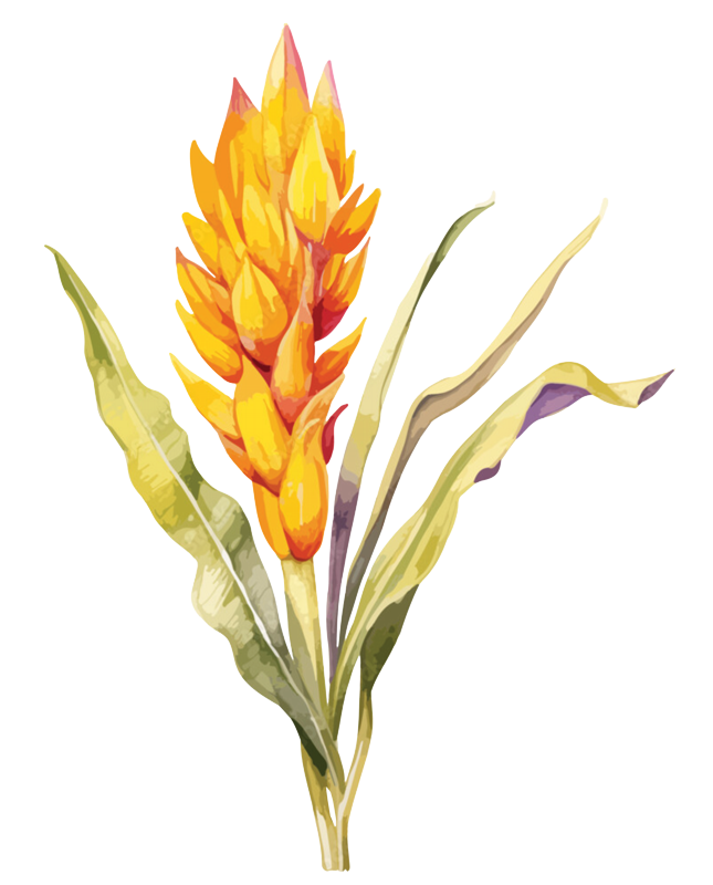 AdobeStock_755469984_Preview_Cropped